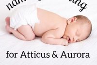 Naming Ideas Inspired by The Scarlet Letter