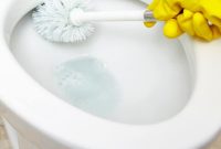 5 Natural Ways to Clean Your Toilet Bowl Without Chemicals