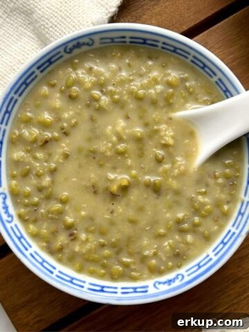 Vegan Mung Bean and Coconut Curry Recipe 9 bowl of mung bean soup