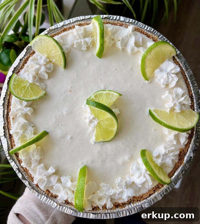 Gluten-Free Dairy-Free Key Lime Pie