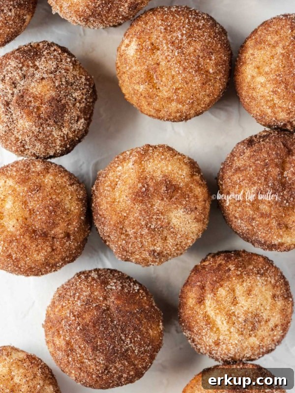 Overhead image of cinnamon sugar breakfast muffins