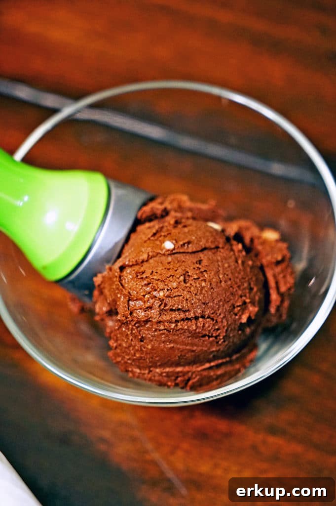 Decadent Chocolate Peanut Butter Ice Cream Recipe 12 No Churn Chocolate Peanut Butter Ice Cream11