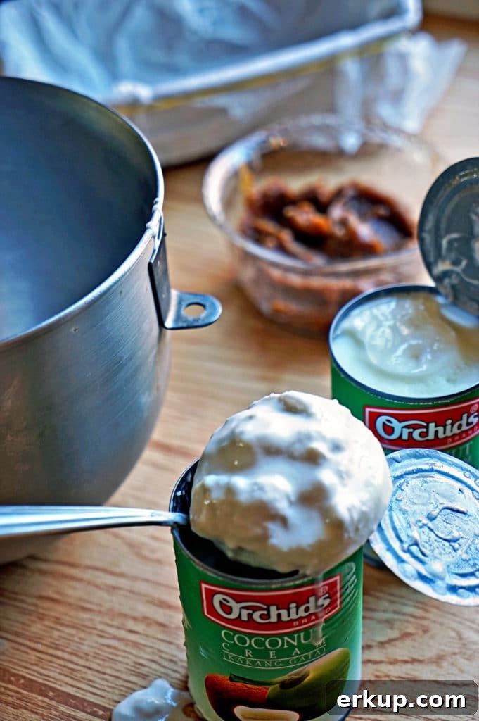 Decadent Chocolate Peanut Butter Ice Cream Recipe 5 No Churn Chocolate Peanut Butter Ice Cream4