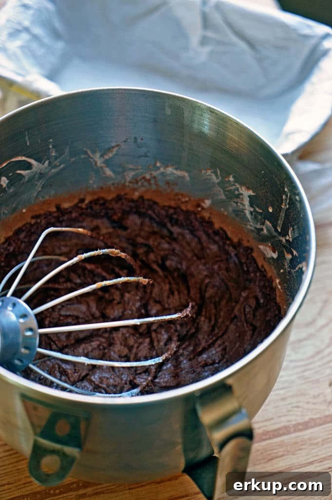 Decadent Chocolate Peanut Butter Ice Cream Recipe 8 No Churn Chocolate Peanut Butter Ice Cream7