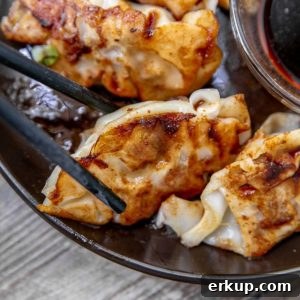 Pork potstickers close up