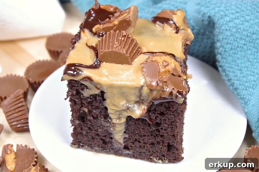 Slice of cake on a plate.