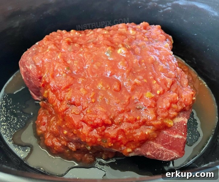 2 Ingredient Salsa Pot Roast | Cheap and easy!! Seriously, the best family meal for busy weeknights. 