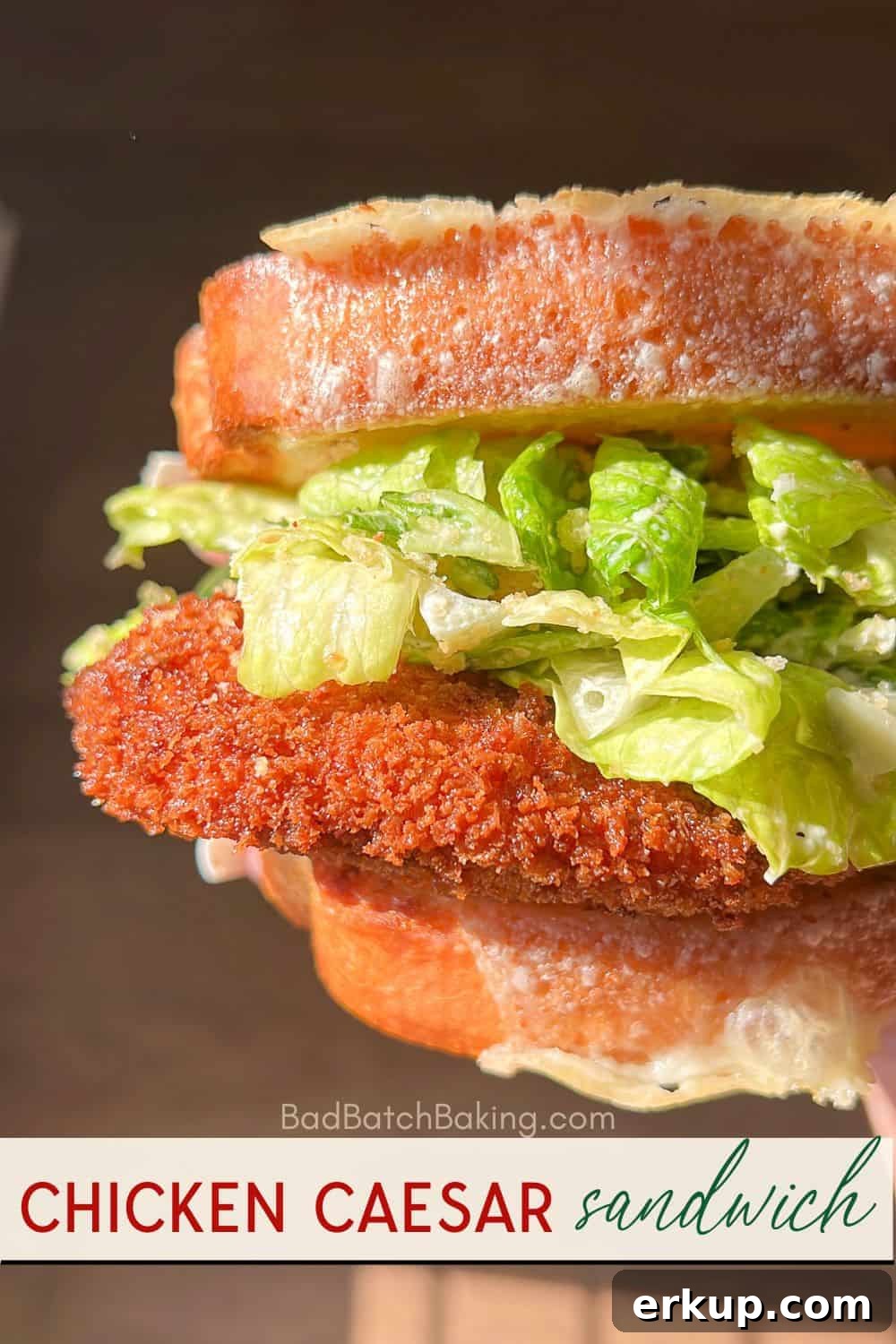 chicken caesar salad sandwich