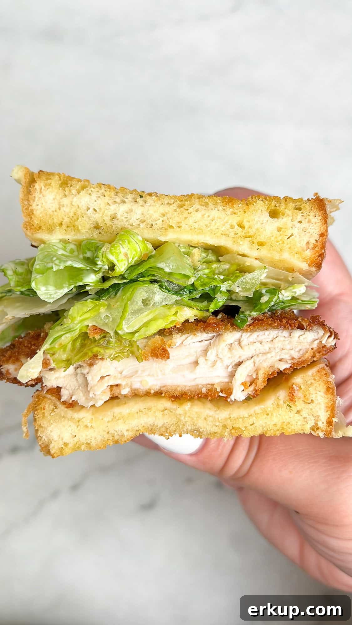 chicken caesar salad sandwich