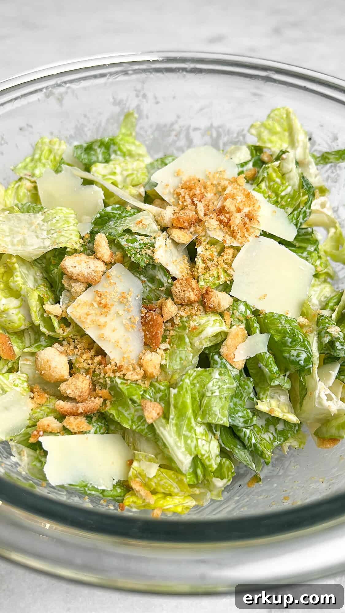 chicken caesar salad sandwich