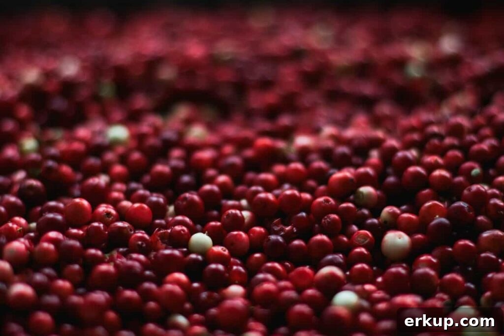 craneberries are a delicious fruit for November