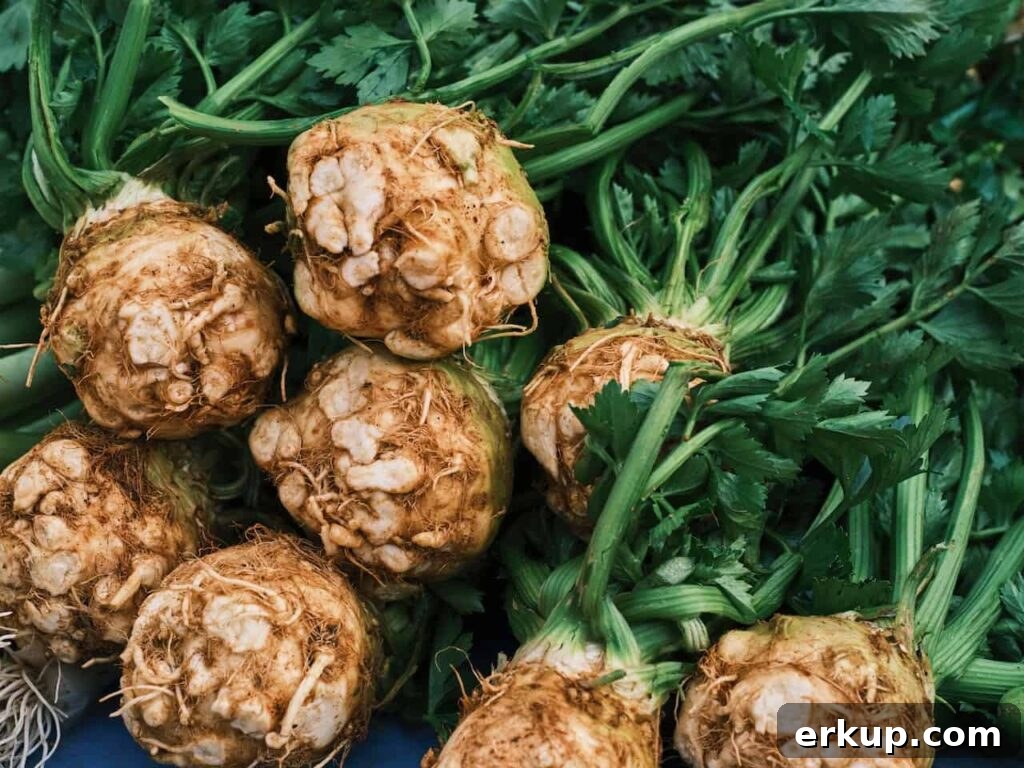 Celery is a delicious vegetable for September