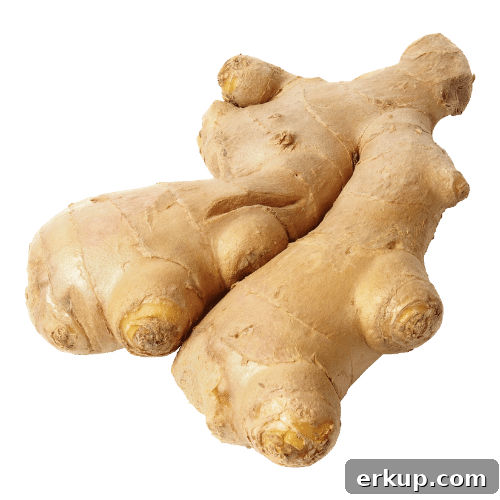 Ginger