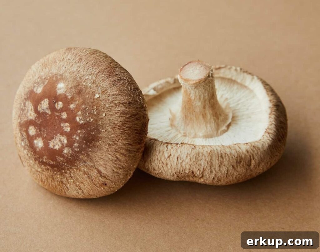 Mushrooms are a delicious vegetable for September