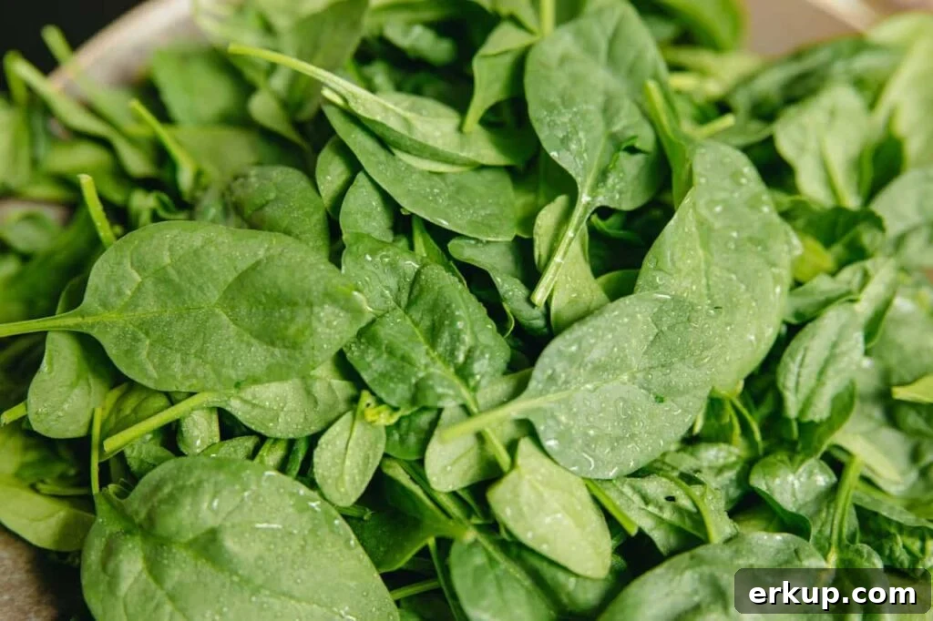 spinich are a delicious vegetable for September