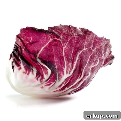Radicchio - Small