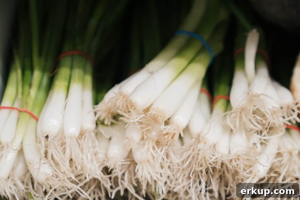 green onions are a delicious vegetable for September
