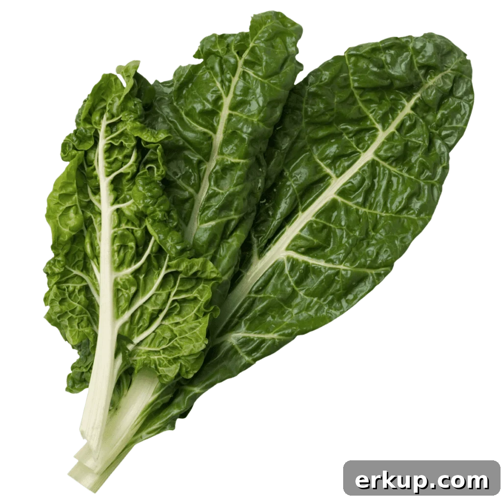 Swiss Chard