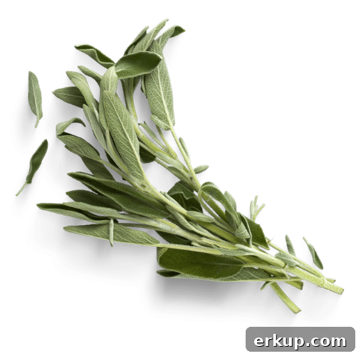 sage