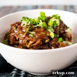 adobo chicken closeup featured image