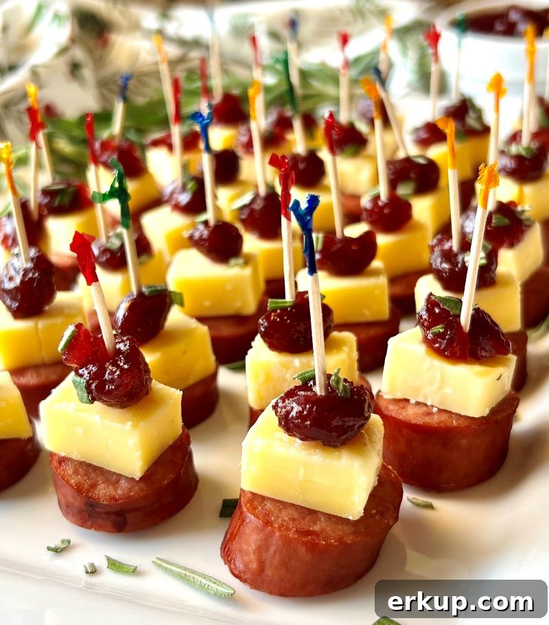 Assembled smoked sausage, cheddar cheese, and cranberries sauce with a party pick.
