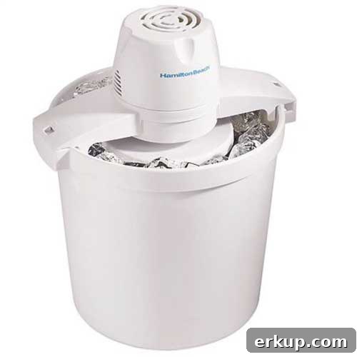 Hamilton Beach 68330R ice cream maker shown on counter