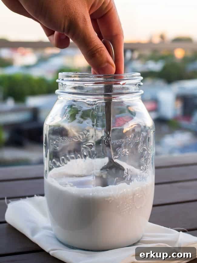 keto yogurt image 2