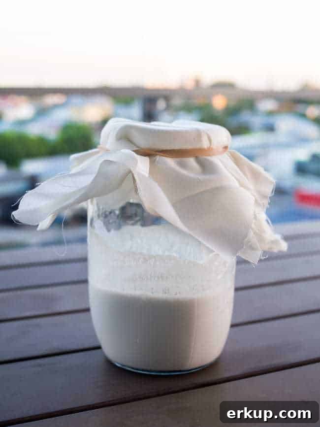 keto yogurt image 3