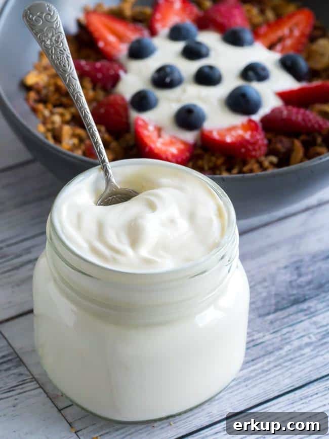 keto yogurt image 4
