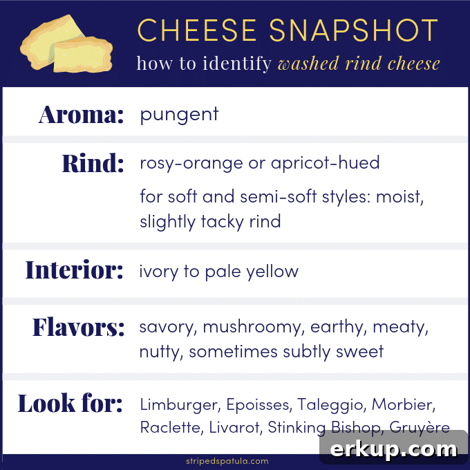 washed rind cheese guide