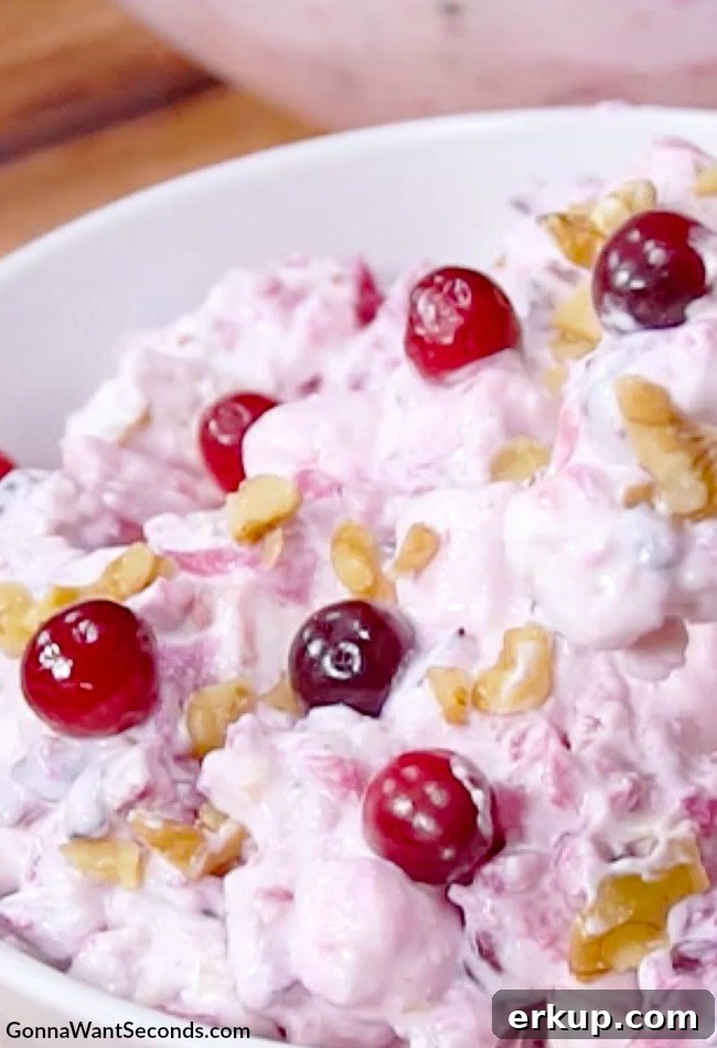 Cranberry Fluff in a bowl Cranberry fluff in a bowl