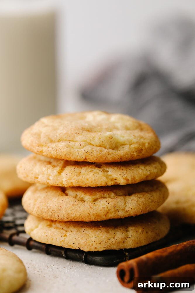 Soft, cinnamon-packed snickerdoodles A stack of snickerdoodles on a cooling rack.