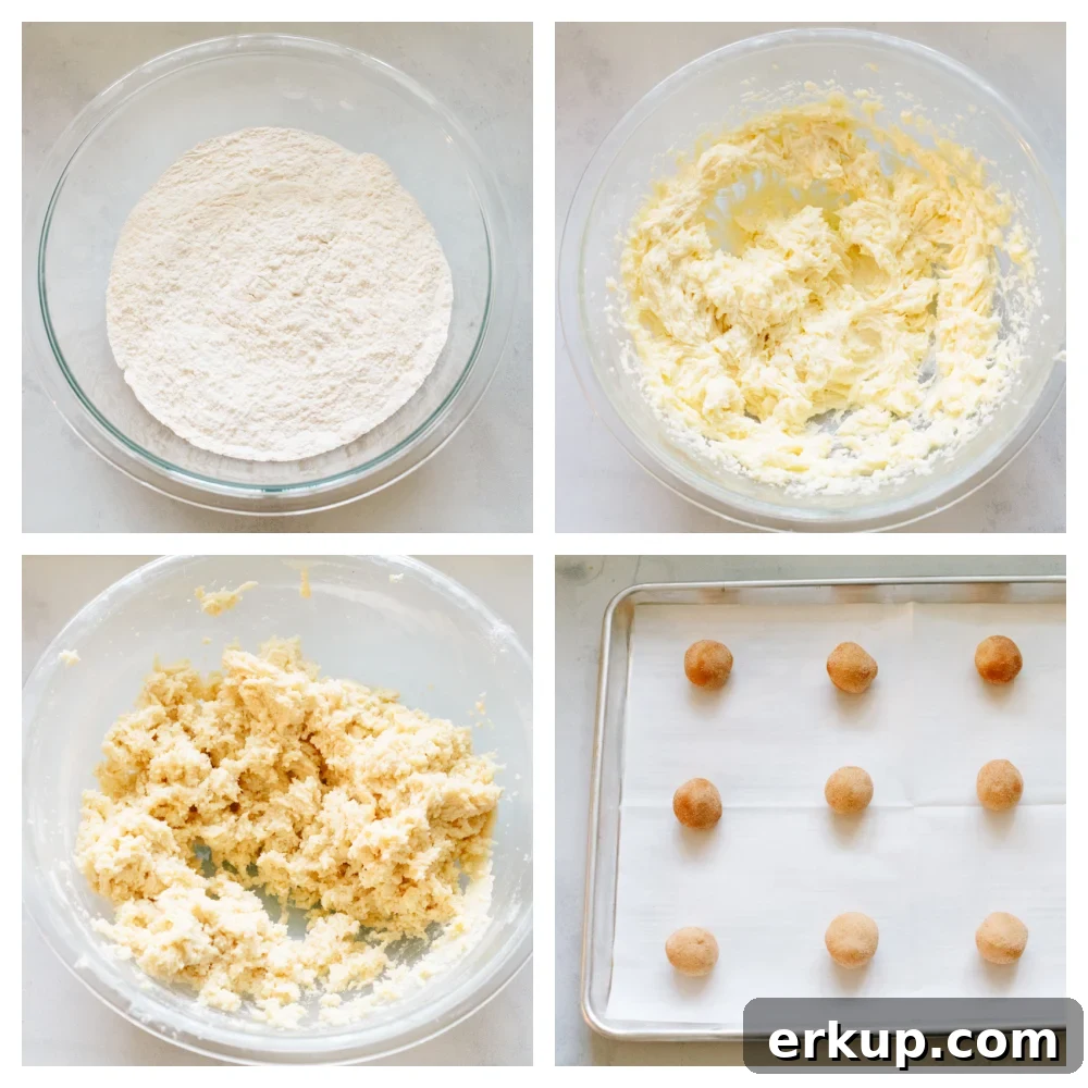 Roll dough balls in cinnamon sugar Steps for rolling cookie dough in cinnamon sugar.