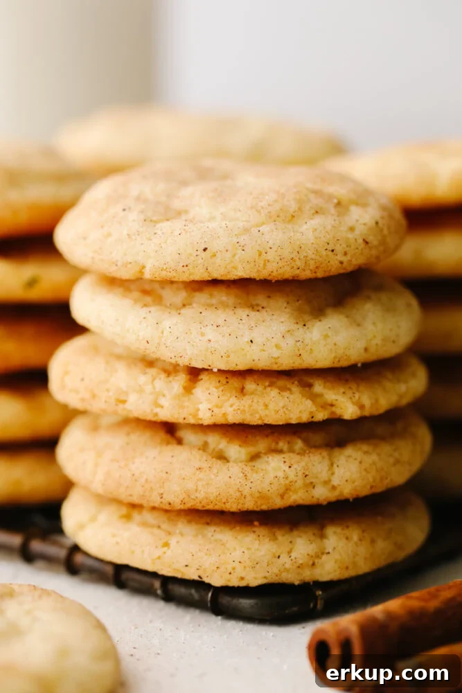 Stack of snickerdoodle cookies A stack of cookies on a cooling rack.