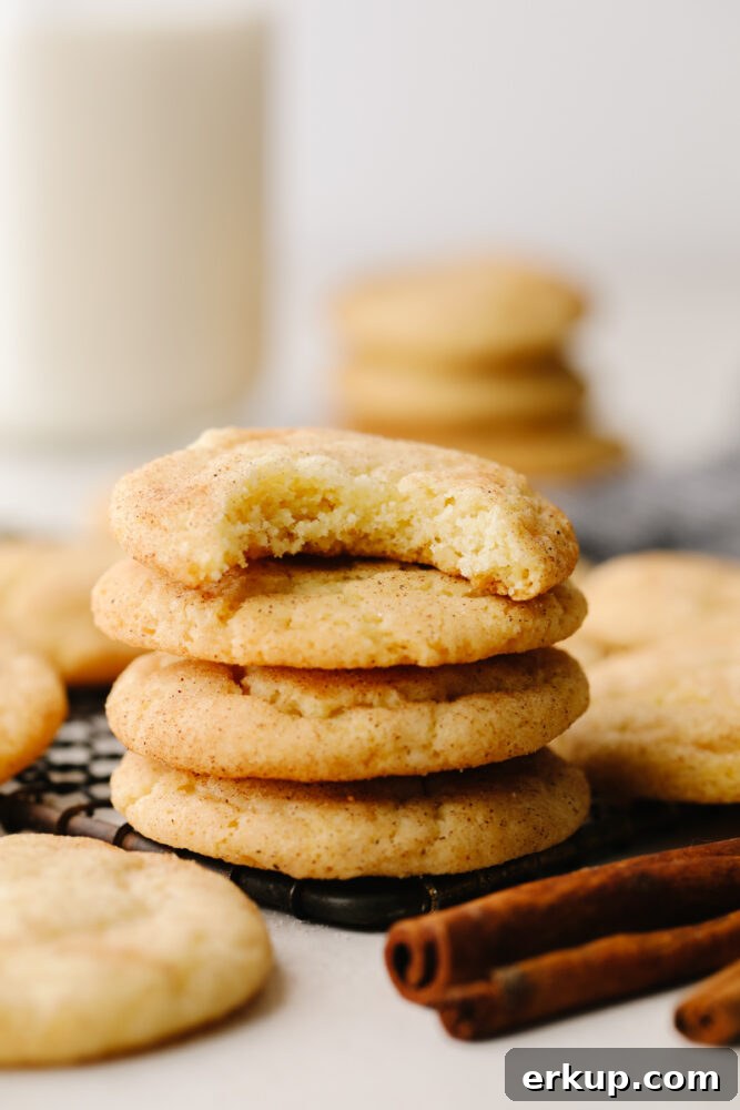 Snickerdoodle with a bite A snickerdoodle cookie with a bite taken out of it.