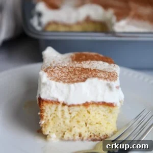 Coquito Layer Cake with Coconut Rum Frosting 4 coquito cake small circular image
