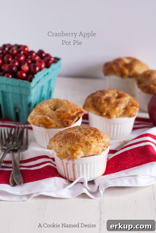 cranberry apple pot pie - a delicious and insanely easy dessert perfect for your Thanksgiving table