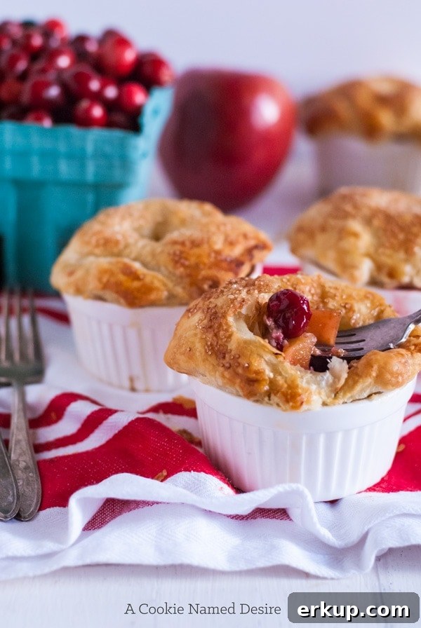 cranberry apple pot pie - a delicious and insanely easy dessert perfect for your Thanksgiving table