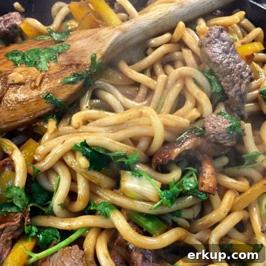Udon Noodles