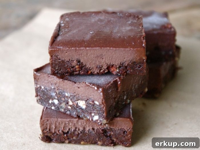 eatmore chocolate fudge bars