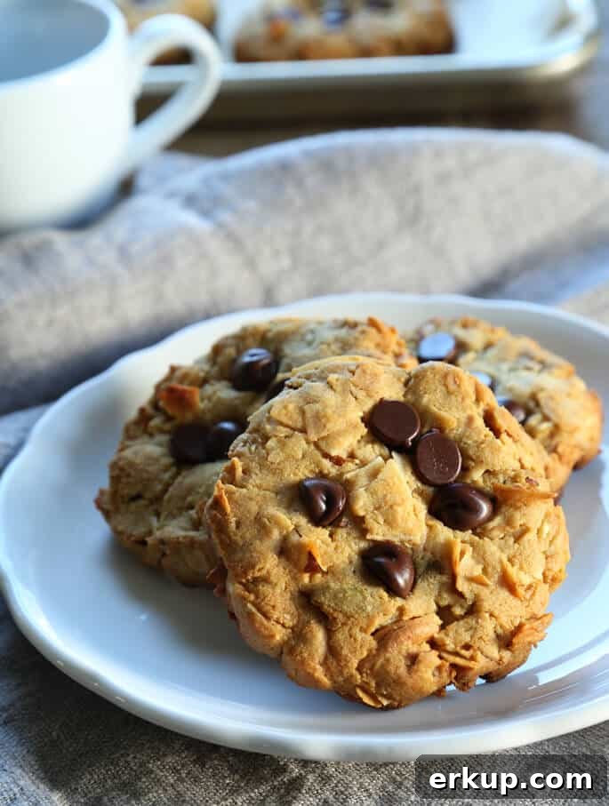 Make Ahead Paleo Breakfast Cookies for Busy Mornings 2 3 breakfast cookies on a white plate
