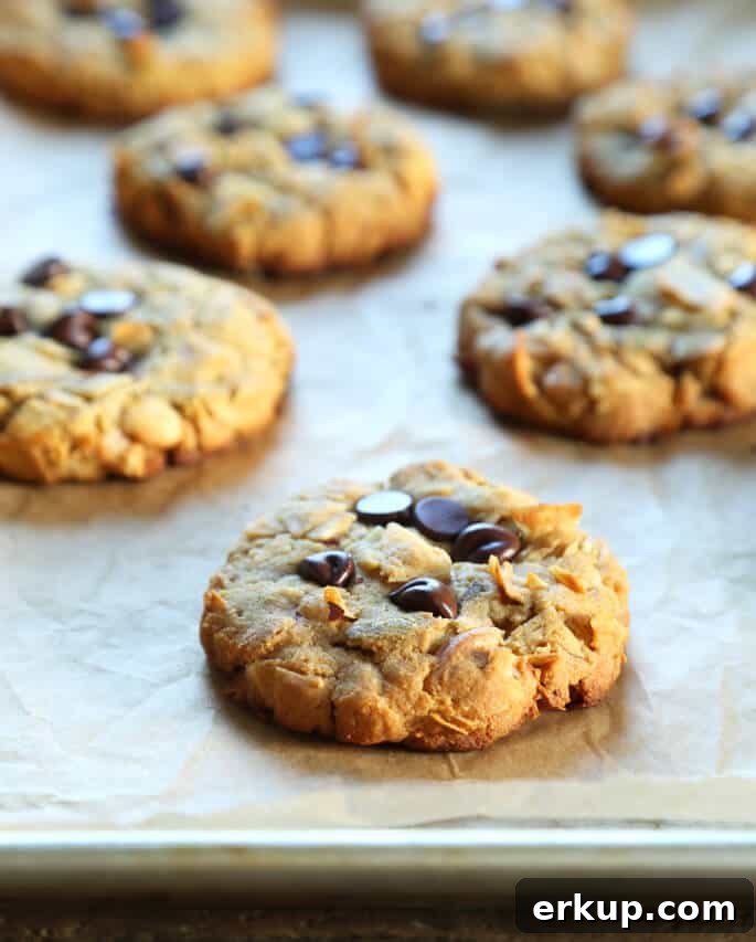 Make Ahead Paleo Breakfast Cookies for Busy Mornings 4 Multiple breakfast cookies on brown paper