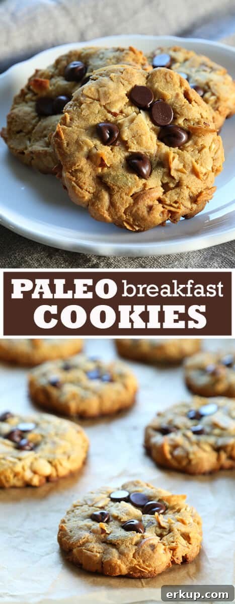 Make Ahead Paleo Breakfast Cookies for Busy Mornings 5 Breakfast cookies on a plate and breakfast cookies on brown paper