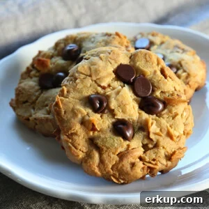 Make Ahead Paleo Breakfast Cookies for Busy Mornings 6 img 16019 5