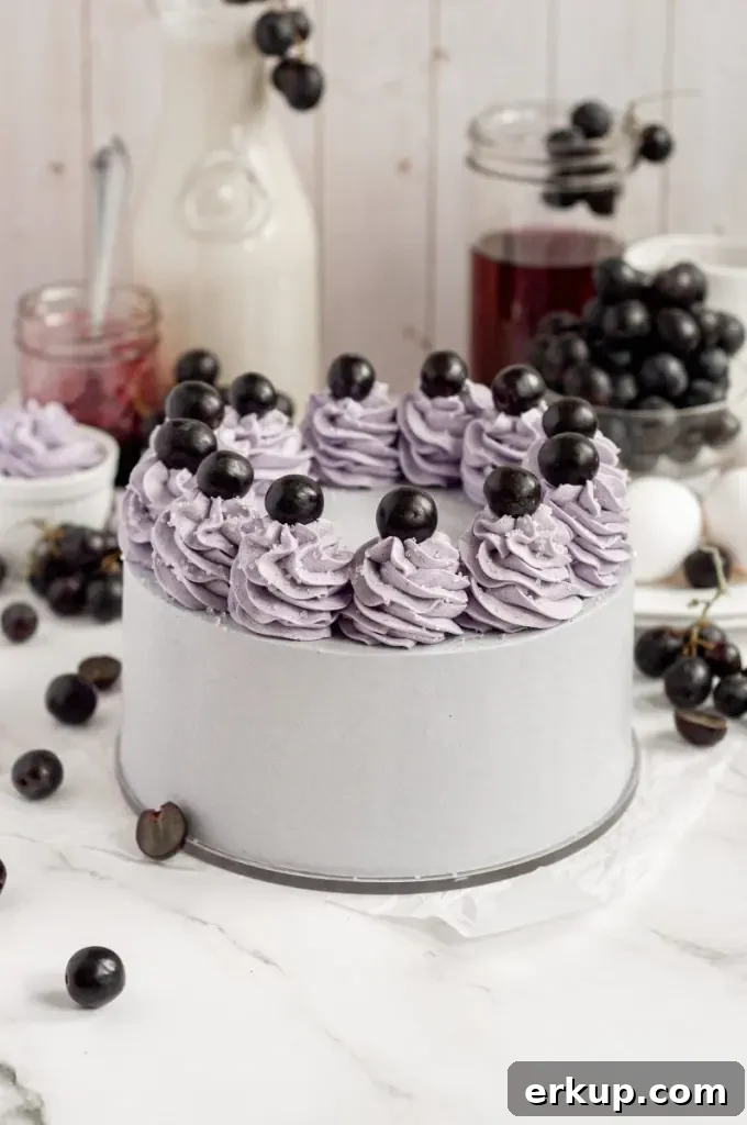 A soft purple grape cake using a cake mix and topped with buttercream swirls and black grapes.