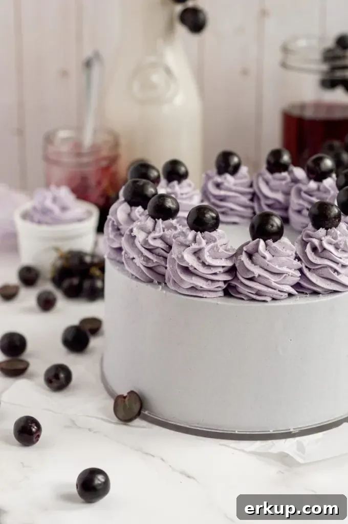 A soft purple grape cake using a cake mix and topped with buttercream swirls and black grapes.