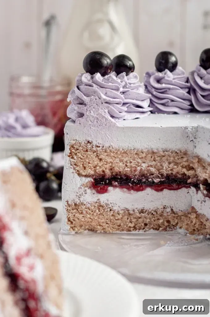 A soft purple grape cake using a cake mix and topped with buttercream swirls and black grapes.