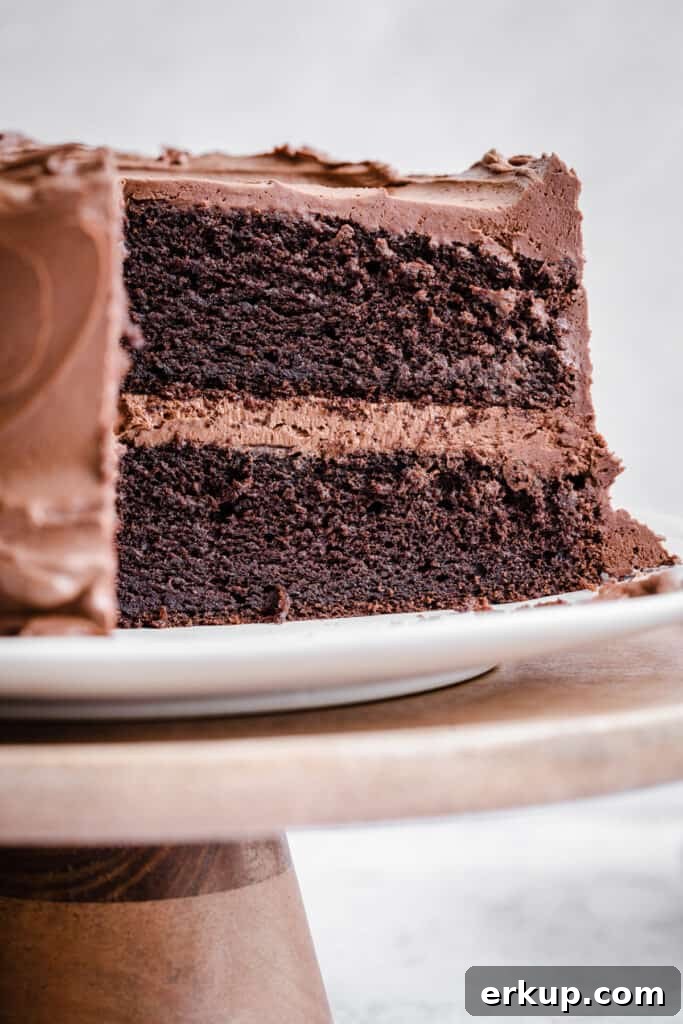 Moist Gluten-Free Chocolate Cake Recipe 2 Gluten Free Chocolate Cake on a cake stand