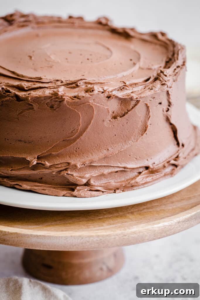 Moist Gluten-Free Chocolate Cake Recipe 11 Close up of Gluten Free Chocolate Fudge Cake