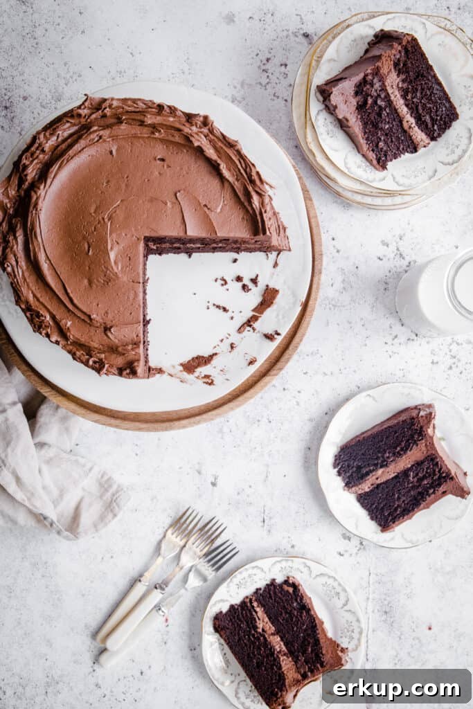 Moist Gluten-Free Chocolate Cake Recipe 12 Gluten Free Chocolate Fudge Cake cut into and served out onto plates